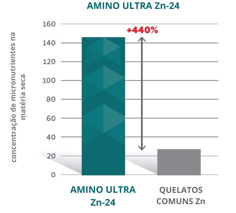 Amino Ultra Zn-24