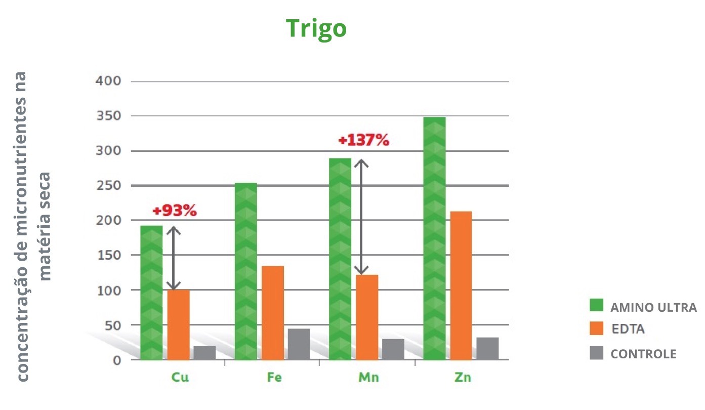 Amino Ultra Pszenica